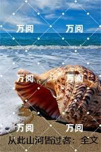 从此山河皆过客：完结版