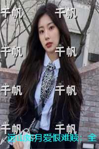 远山如月爱恨难赎：高分完本