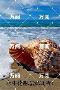 永生花谢,爱意凋零：精选小说推荐