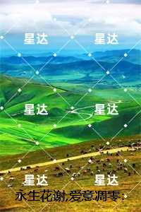 永生花谢,爱意凋零