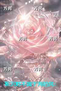 靳沉野不属于海的风：全文章节