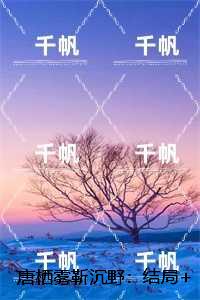 唐栖雾靳沉野：无删减版