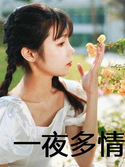 一夜多情