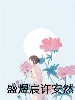 盛煜宸许安然