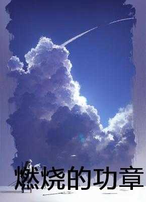 燃烧的功章