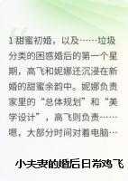 小夫妻的婚后日常鸡飞又狗跳