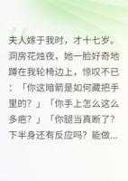 夫人嫁于我时,才十七岁