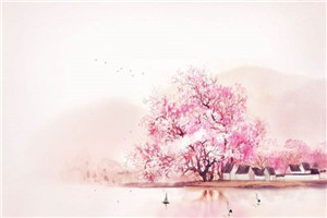 婚礼变葬礼，他抱着白月光头也不回​