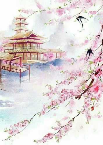 苏意欢傅晏舟