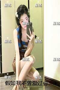 假如我不曾爱过你：精选小说推荐