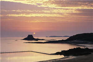 隐婚三年她要离傅总哭得稀里哗啦