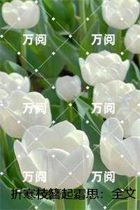折寒枝簪起霜思：结局+后续