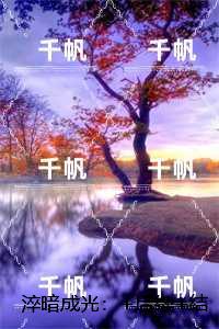 淬暗成光:精品阅读