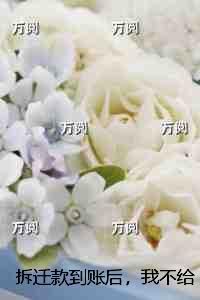 拆迁款到账后，我不给儿子留一分：高分佳作