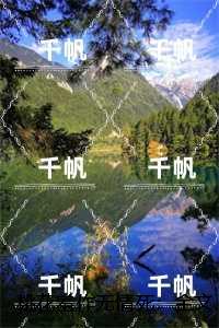 桃花羞作无情死：+后续+完结