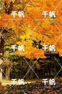 今朝暖烟似旧邻：完整版全文在线