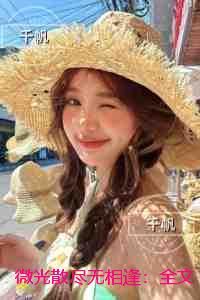 微光散尽无相逢：必读爽文