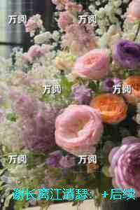 谢长离江清瑟：+后续+番外