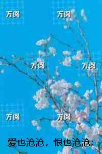爱也沧沧，恨也沧沧：内容精选