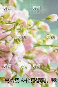 高冷男友化身舔狗，我不要了小说推荐