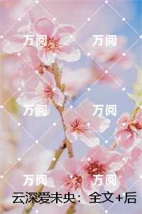云深爱未央：小说结局