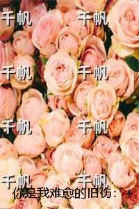 你是我难愈的旧伤：全文赏析