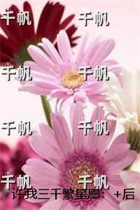 许我三千繁星愿：全部目录