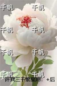 许我三千繁星愿：前文+后续