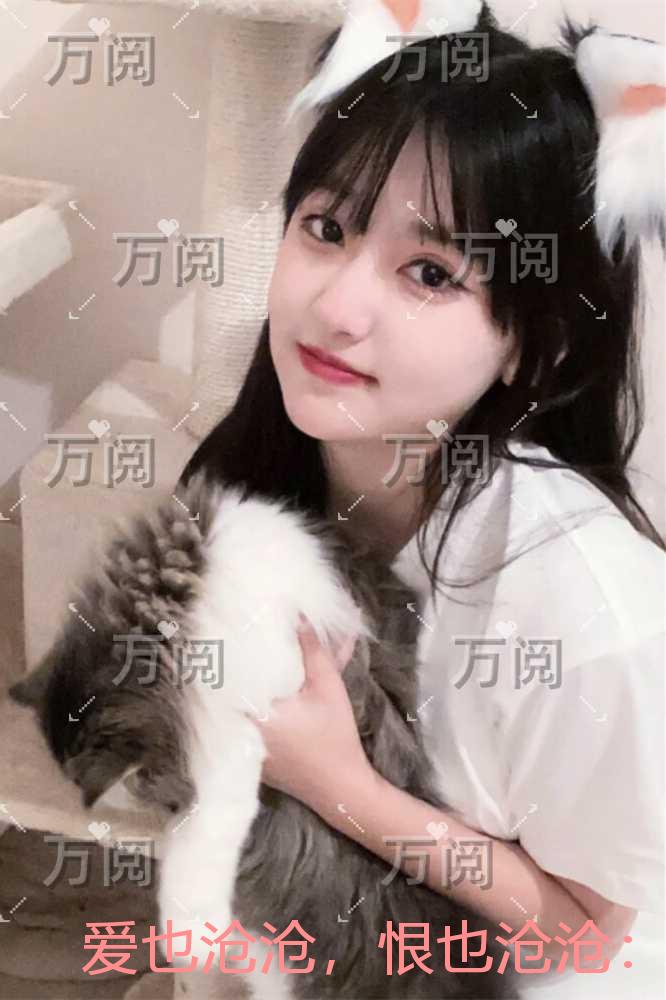 爱也沧沧，恨也沧沧：全本小说