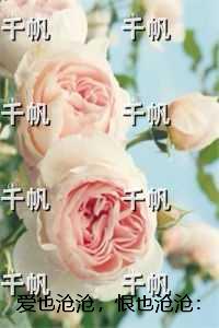 爱也沧沧，恨也沧沧：好书