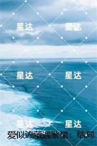 爱似流萤遇繁星：,沐星澜陆司沉最新章节列表
