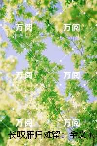 长叹雁归难留：,顾裴延江照璃结局+番外必读文