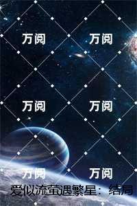 爱似流萤遇繁星：精选小说