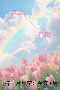 捧一片星空：全面完结