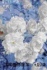 沈晚栀傅景深：+后续+结局