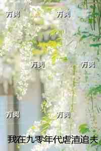 我在九零年代虐渣追夫：+结局+完结