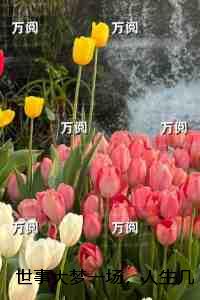 世事大梦一场，人生几度秋凉：前言+后续