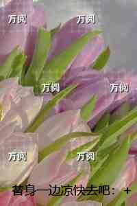 替身一边凉快去吧：+结局+畅读