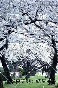 浮华宴守则：推荐完结