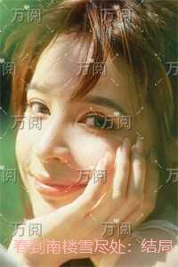 春到南楼雪尽处：免费看