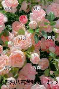四海八荒苦封喉，君心似毒酒：完整文集