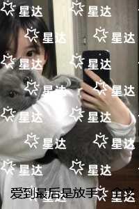 爱到最后是放手：结局+后续+完本
