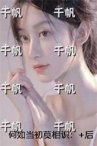 何如当初莫相识：+后续+全文