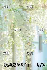 阮奚念厉时衍：后续