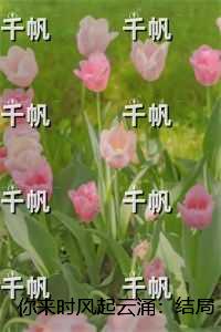 你来时风起云涌：好书