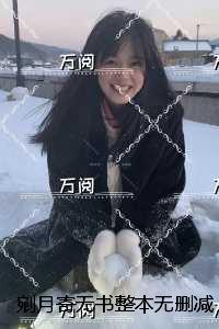 剜月寄无书整本：言情作品