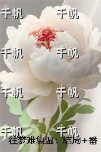 往梦难复温：后续+全文