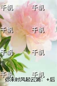 你来时风起云涌：+番外+后续