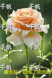 重生后，我成了顶流影帝的幕后金主：在线看