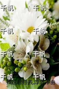 我送君归去,浮沉不由己：优质全章